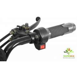 Quad mini Hecht 56151