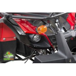 Quad mini Hecht 56151