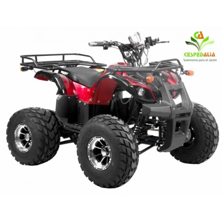 Quad mini Hecht 56151