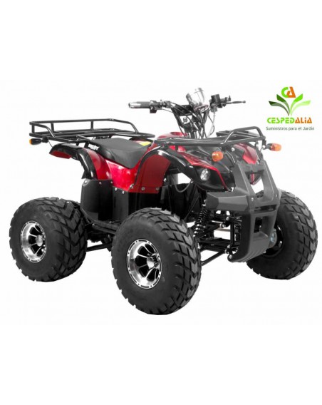 Quad mini Hecht 56151