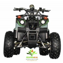 Quad mini Hecht 56150