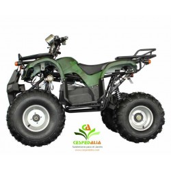 Quad mini Hecht 56150