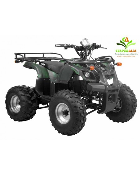 Quad mini Hecht 56150