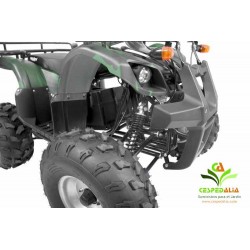 Quad mini Hecht 56150