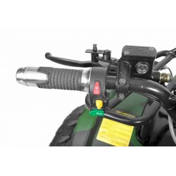 Quad mini Hecht 56150